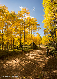 2016 September 21  Making some images of the early fall color  in Garcia Park, northern New Mexico